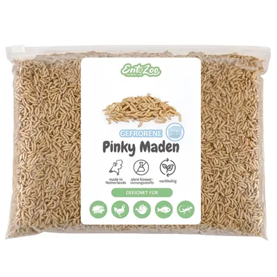 EntoZoo gefrorene Pinky Maden (Goldfliege) EntoZoo gefrorene Pinky Maden (Goldfliege)