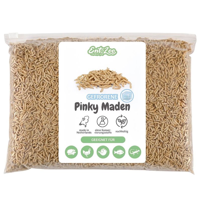 EntoZoo gefrorene Pinky Maden (Goldfliege)
