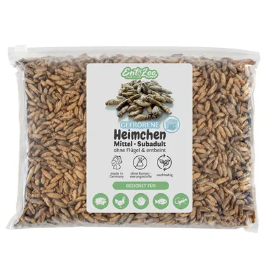 EntoZoo gefrorene Heimchen EntoZoo gefrorene Heimchen