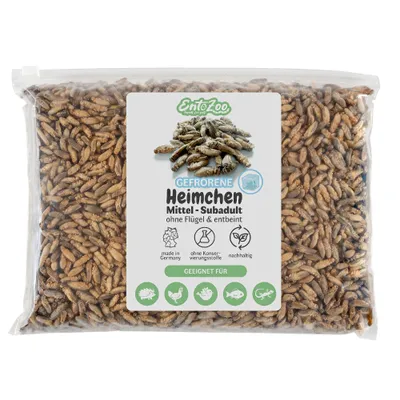 EntoZoo gefrorene Heimchen EntoZoo gefrorene Heimchen