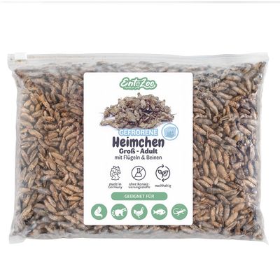 EntoZoo gefrorene Heimchen