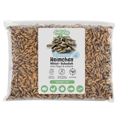 EntoZoo gefrorene Heimchen