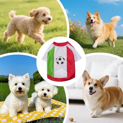 HausPets Camiseta fútbol perros - Transpirable, borde festoneado, ideal HausPets Camiseta fútbol perros - Transpirable, borde festoneado, ideal