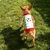 HausPets Camiseta fútbol perros - Transpirable, borde festoneado, ideal HausPets Camiseta fútbol perros - Transpirable, borde festoneado, ideal