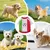 HausPets Camiseta fútbol perros - Transpirable, borde festoneado, ideal HausPets Camiseta fútbol perros - Transpirable, borde festoneado, ideal