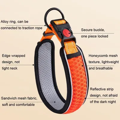 HausPets Hundehalsband Reflektierend Atmungsaktiv Nylon Verstellbar HausPets Hundehalsband Reflektierend Atmungsaktiv Nylon Verstellbar