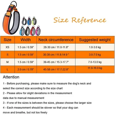HausPets Hundehalsband Reflektierend Atmungsaktiv Nylon Verstellbar HausPets Hundehalsband Reflektierend Atmungsaktiv Nylon Verstellbar