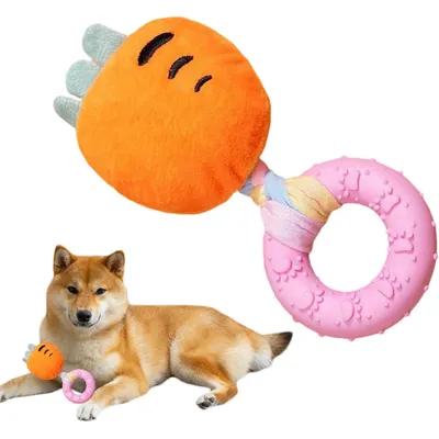 HausPets Jouet Chien Fromage Peluche Couineur Dentition