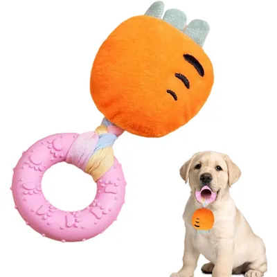 HausPets Jouet Chien Fromage Peluche Couineur Dentition