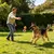 HausPets Hundespielzeug Käse Plüsch Quietschend Zahnen HausPets Hundespielzeug Käse Plüsch Quietschend Zahnen