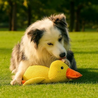 HausPets Pato de peluche amarillo con sonido para perros - Antiestrés