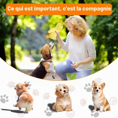 HausPets Jouet Chien Canard Peluche Jaune Couineur Anti-Stress