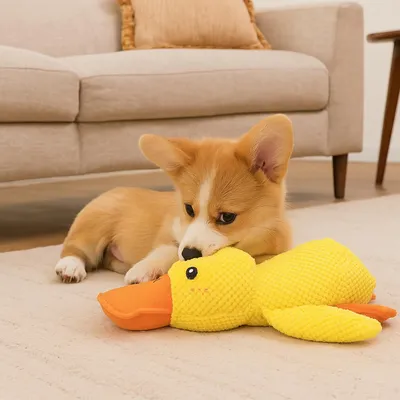 HausPets Jouet Chien Canard Peluche Jaune Couineur Anti-Stress