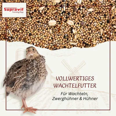 Supravit Wachtelfutter - Alleinfutter Körnermischung für Wachteln Supravit Wachtelfutter - Alleinfutter Körnermischung für Wachteln
