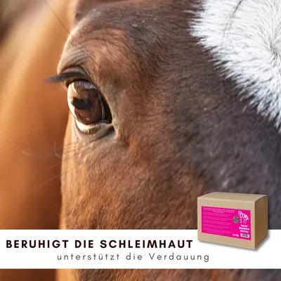 Supravit WIESENGLÜCK Pferdefutter - Mash oder Müsli für Pferde Supravit WIESENGLÜCK Pferdefutter - Mash oder Müsli für Pferde