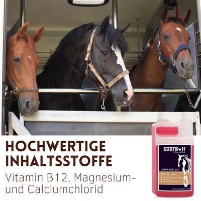 Supravit SupraRelax - Magnesium & B12 für Pferde Supravit SupraRelax - Magnesium & B12 für Pferde