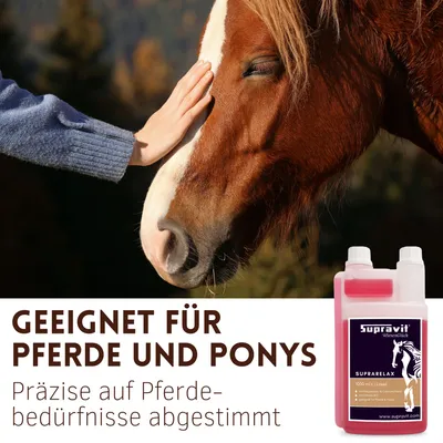 Supravit SupraRelax - Magnesium & B12 für Pferde Supravit SupraRelax - Magnesium & B12 für Pferde