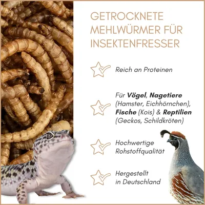 Supravit Mehlwürmer getrocknet Supravit Mehlwürmer getrocknet