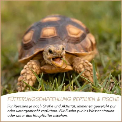 Supravit Mehlwürmer getrocknet Supravit Mehlwürmer getrocknet