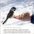 Supravit Winterstreufutter für Vögel Supravit Winterstreufutter für Vögel