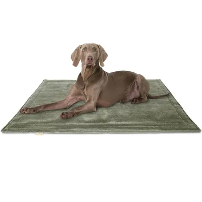 Knuffelwuff Cord Hundedecke Timor Knuffelwuff Cord Hundedecke Timor