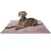 Knuffelwuff Cord Hundedecke Timor