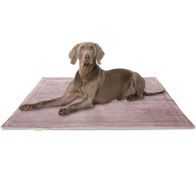 Knuffelwuff Cord Hundedecke Timor Knuffelwuff Cord Hundedecke Timor