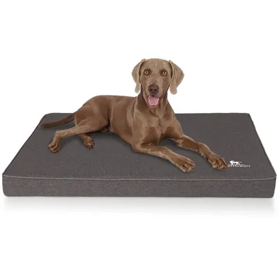 Knuffelwuff Orthopädische Hundematte Nantucket aus Velours Knuffelwuff Orthopädische Hundematte Nantucket aus Velours