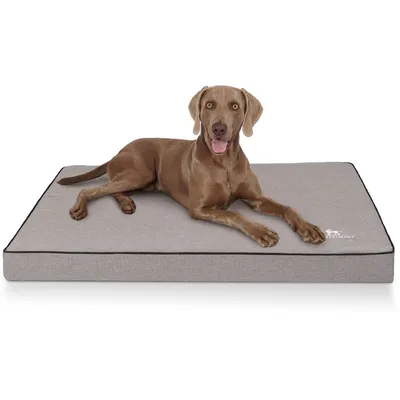 Knuffelwuff Orthopädische Hundematte Nantucket aus Velours Knuffelwuff Orthopädische Hundematte Nantucket aus Velours