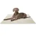 Knuffelwuff Cord Hundedecke Timor