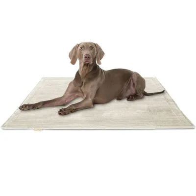 Knuffelwuff Cord Hundedecke Timor Knuffelwuff Cord Hundedecke Timor
