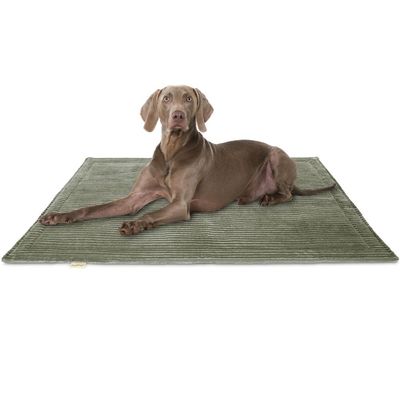 Knuffelwuff Cord Hundedecke Timor
