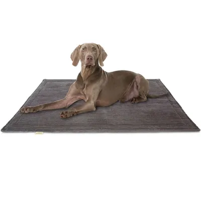 Knuffelwuff Cord Hundedecke Timor Knuffelwuff Cord Hundedecke Timor