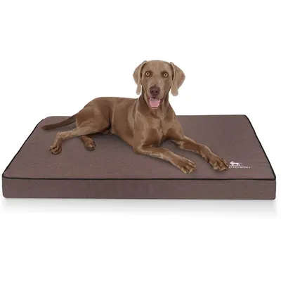 Knuffelwuff Orthopädische Hundematte Nantucket aus Velours Knuffelwuff Orthopädische Hundematte Nantucket aus Velours