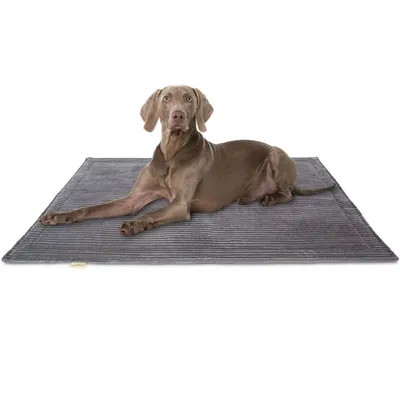 Knuffelwuff Cord Hundedecke Timor Knuffelwuff Cord Hundedecke Timor