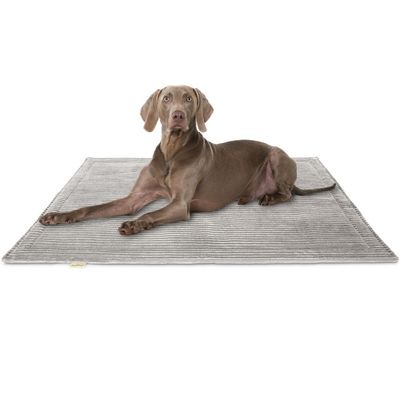 Knuffelwuff Cord Hundedecke Timor