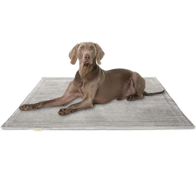 Knuffelwuff Cord Hundedecke Timor Knuffelwuff Cord Hundedecke Timor