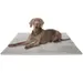 Knuffelwuff Cord Hundedecke Timor