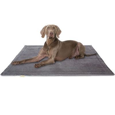Knuffelwuff Cord Hundedecke Timor