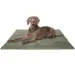 Knuffelwuff Cord Hundedecke Timor