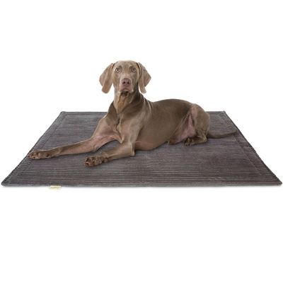 Knuffelwuff Cord Hundedecke Timor