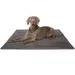 Knuffelwuff Cord Hundedecke Timor