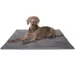 Knuffelwuff Cord Hundedecke Timor