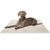 80x60cm Beige