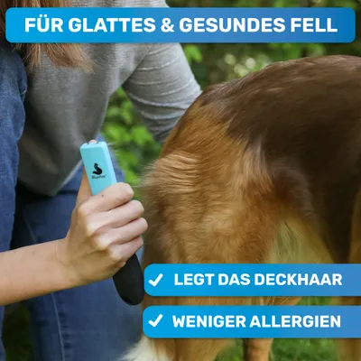 BluePet Entfilzungskamm für Hunde und Katzen, Entfilzer gegen Knoten & Filz BluePet Entfilzungskamm für Hunde und Katzen, Entfilzer gegen Knoten & Filz