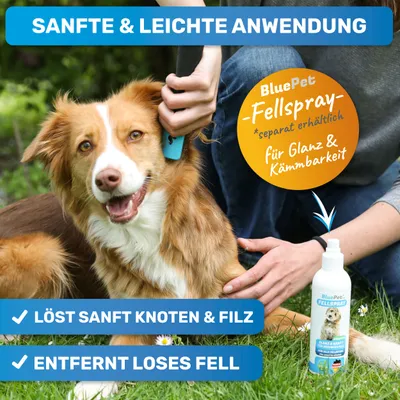 BluePet Entfilzungskamm für Hunde und Katzen, Entfilzer gegen Knoten & Filz BluePet Entfilzungskamm für Hunde und Katzen, Entfilzer gegen Knoten & Filz