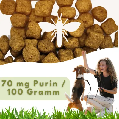 MyPetClub Insekten Purinarmm