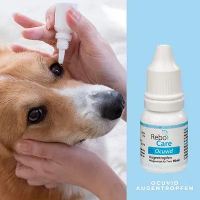 ReboCare Ocuvid Augentropfen