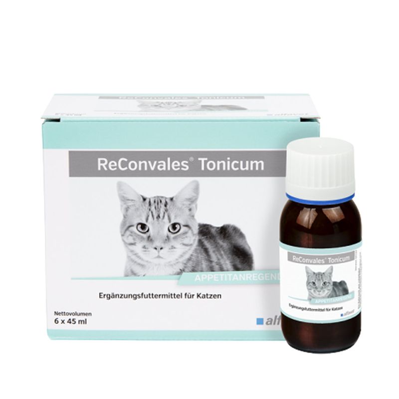 Alfavet ReConvales Tonicum Katze