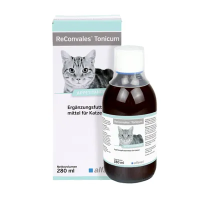 Alfavet ReConvales Tonicum Katze